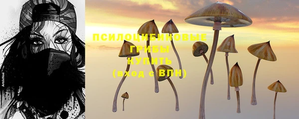 мет Ельня
