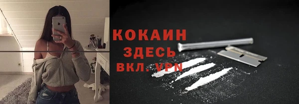 мет Ельня