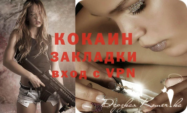 крисы Елизово