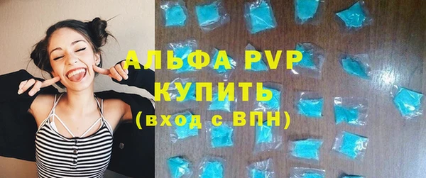 мет Ельня