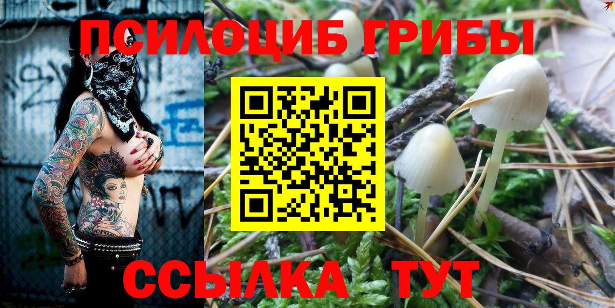 Псилоцибиновые грибы GOLDEN TEACHER Нарткала