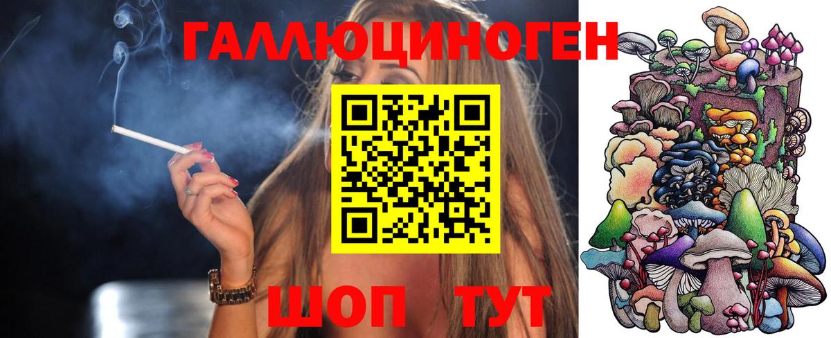 Нарткала  Псилоцибиновые грибы Psilocybine cubensis  Вход с VPN 